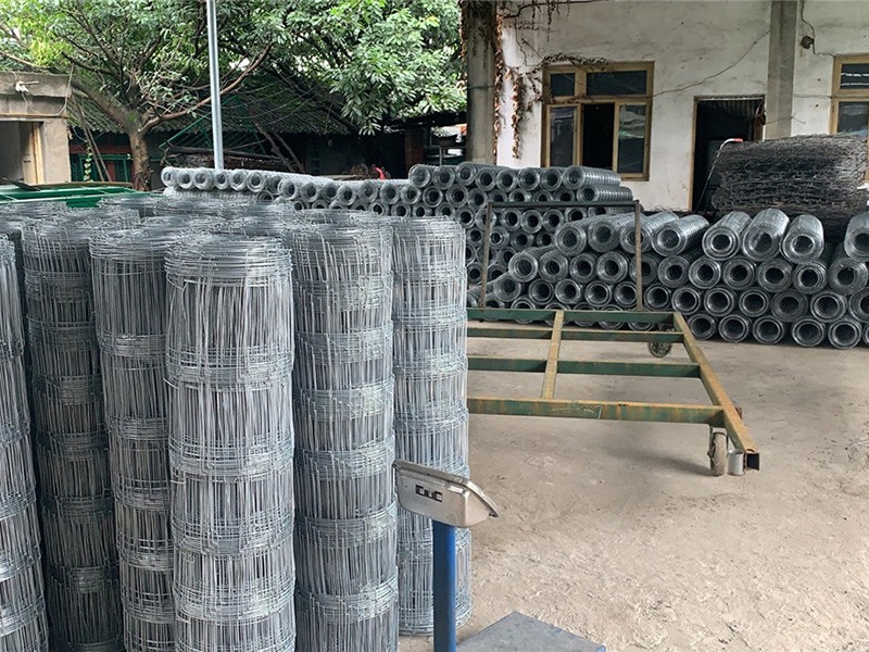 婁底草原網(wǎng)